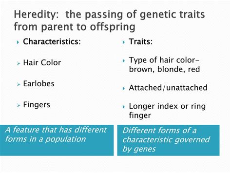 Ppt Heredity Powerpoint Presentation Free Download Id1480569