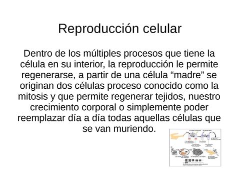 Que Es La Reproduccion De Las Celulas Compartir Celular