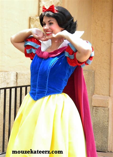 69,000+ vectors, stock photos & psd files. The Disney Princess: Where in the Disney World Can You ...