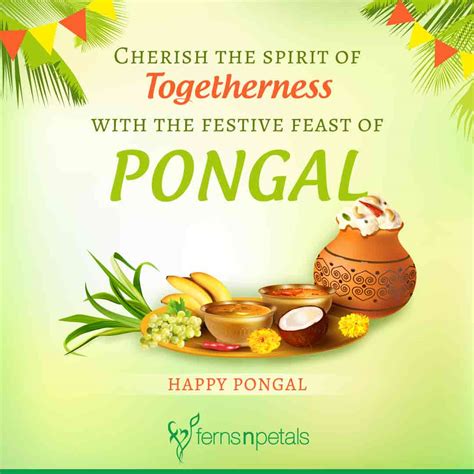 Happy Pongal Wishes Images And Quotes 2024 Fnp