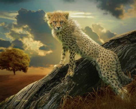 Sunset Cheetah Painting Painting By Dawn Gemme Pixels