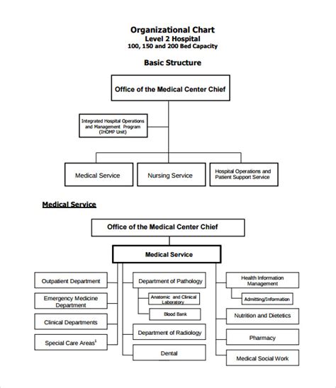 9 Hospital Organizational Chart Templates To Download Sample Templates