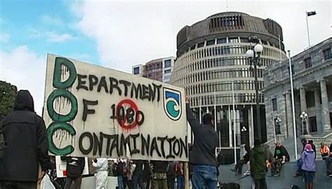 Ban 1080 Protesters Descend Upon Parliament Newshub