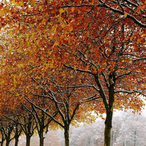 15 Autumn Winter Hd Wallpapers Basty Wallpaper