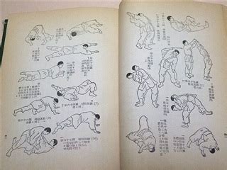 It does cover aitimi waza, or striking techniques, but most. Japanese Martial Arts Book - Kodokan Judo Book How to ...