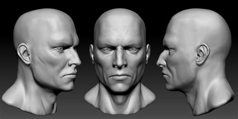 Blankhtml Zbrush Head Anatomy Sculpting