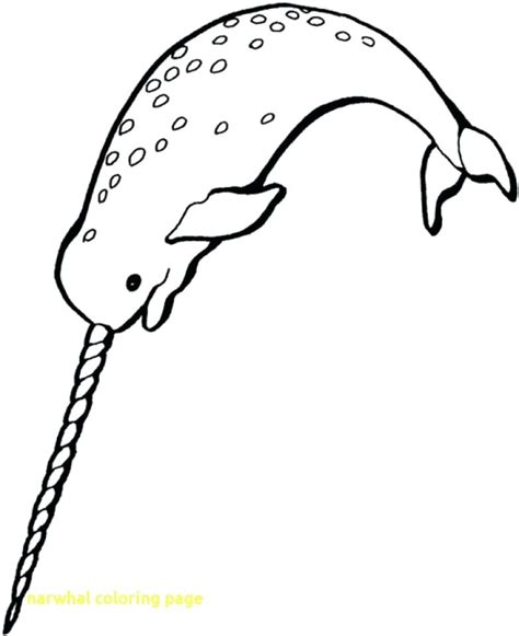 N of narwhal coloring page to color, print or download. Cute Narwhal Coloring Pages at GetColorings.com | Free ...