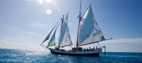 Windjammer Barefoot Cruise Alas The Ship We Were On Is Now At The