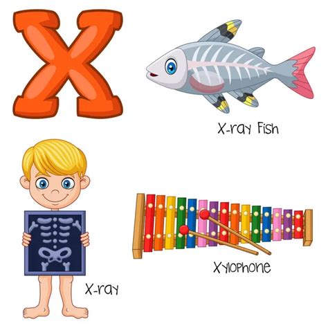 Ilustracion Palabras Con X Con Dibujos Animados X Alfabeto — Vector
