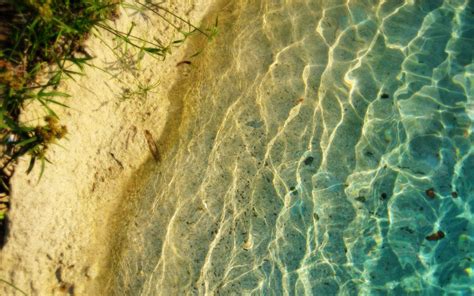 Discover 61 Pretty Beach Wallpapers Super Hot Incdgdbentre