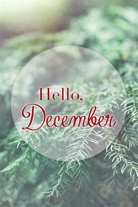 Hello December Hello December Hello December Quotes Months In A Year