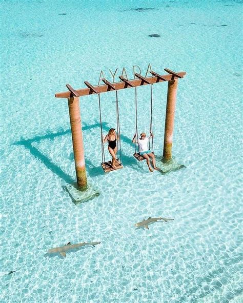 11 Stunning Tropical Beach Swings Located In The Ocean Tropikaia