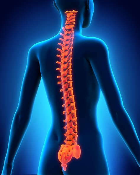 Physical Solutions Do You Have Spinal Stenosis Physical Solutions