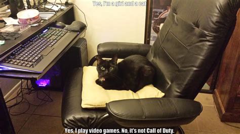 Gamer Cat Quickmeme