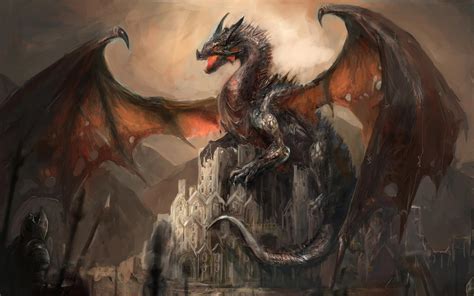 Dragon Castle Wallpapers Top Free Dragon Castle Backgrounds