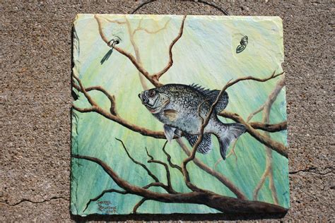 Black Crappie Fish Painting On Slate By Sherrylpaintz Fish Art