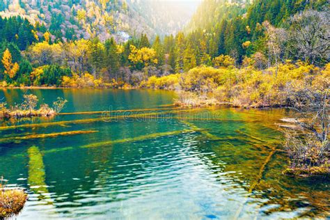 Autumn View Of The Lake Jiuzhaigou Nature Reserve China Stock Image