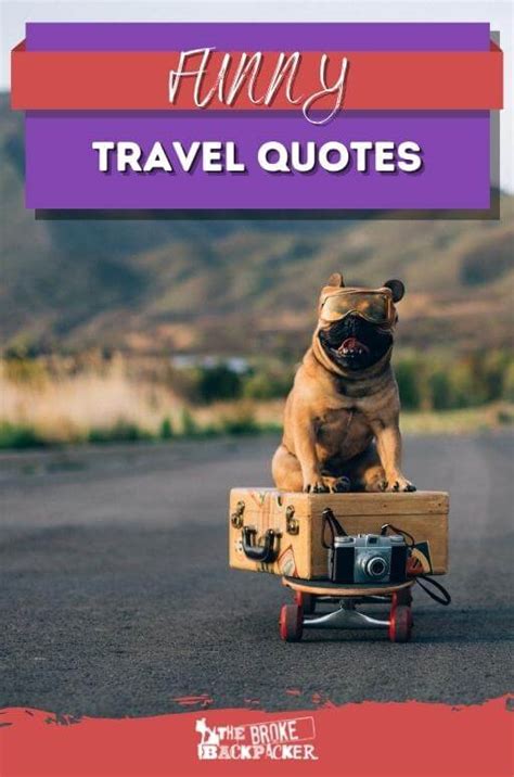 101 Funny Travel Quotes To Chuckle At