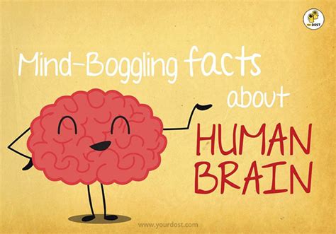 5 Mind Boggling Facts About The Human Brain Yourdost Blog