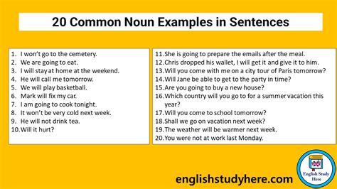 20 Common Noun Examples In Sentences English Study Here