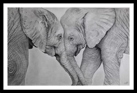 Pencil Sketch Affectionate Elephants Imagicart