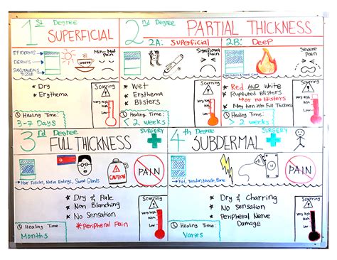 Pin on Occupational Therapy