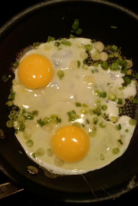 All of the other types of eggs can be surprisingly high in lectins. Fried Eggs with Spring Onion Dukan Diet Recipe