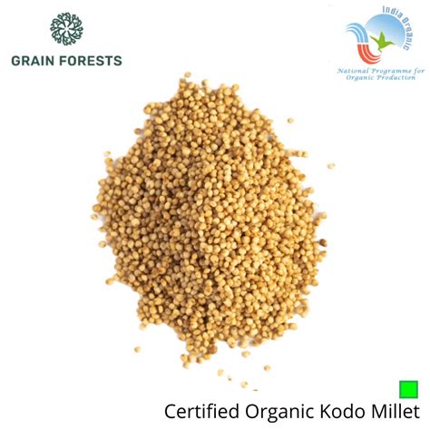 Buy Grain Forests Organic Kodo Millet Millets Kodo For Healthy Eating