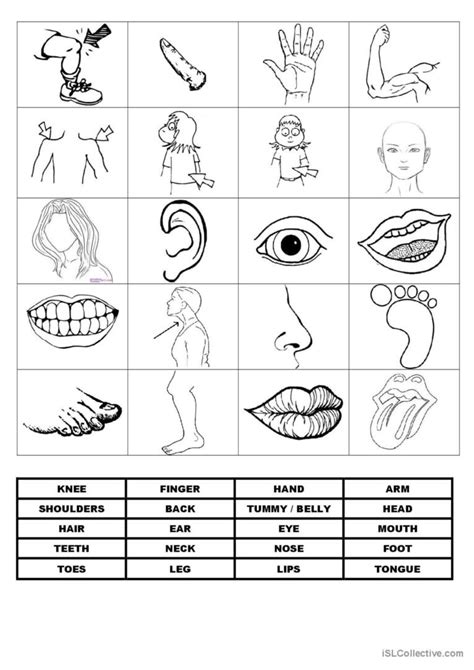 Memory Game On Body Parts Vocabulary English ESL Worksheets Pdf Doc