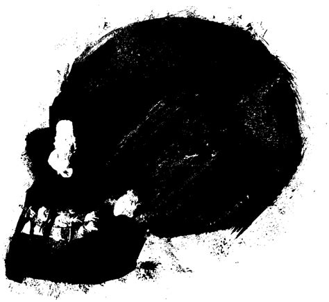 Skulls Png Image Purepng Free Transparent Cc0 Png Image Library