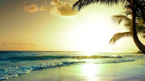 Wallpaper Tropical Beach 5k 4k Wallpaper Paradise Sunset Nature 11591