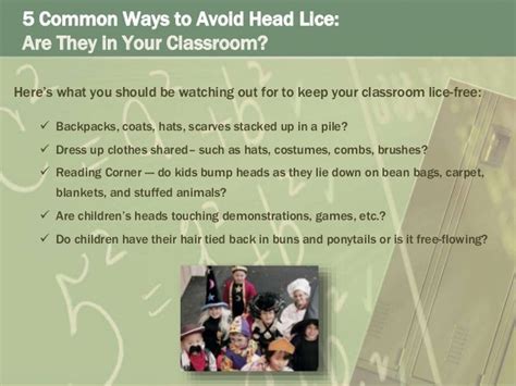 Head Lice Are They In Your Classroom