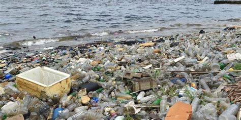 El Plástico Que Llega A Los Mares Casi Se Triplicará En 2040