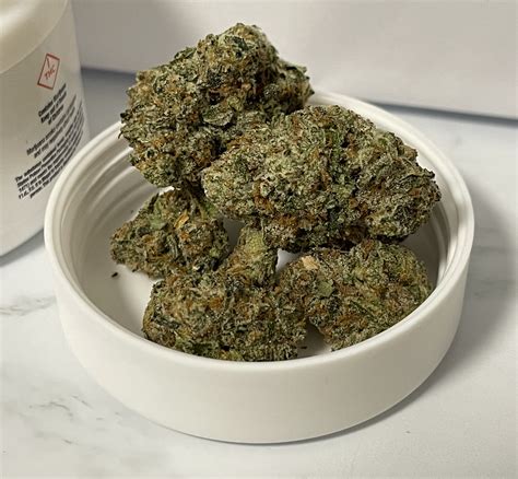 Trulieve X Connected Truflower Review Nightshade Hybrid Florida