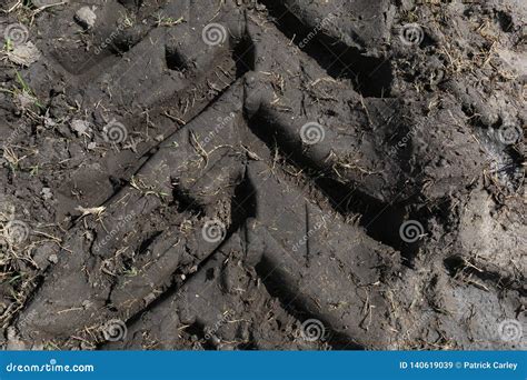 Tractor Tire Tracks In Mud Stock Image Image Of Land 140619039