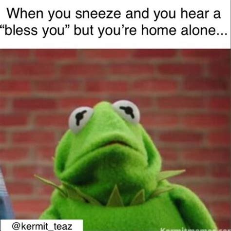 16 Sassy Kermit The Frog Memes We Definitely Didnt Find On The