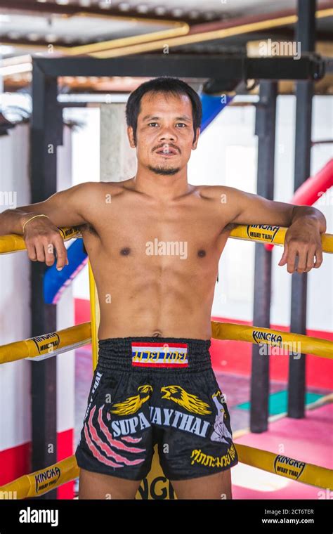 attractive thai boxer posing at muay thai boxing camp at phuket thailand phuket thailand