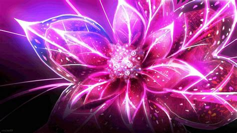 Flower Abstract Flower Wallpapers