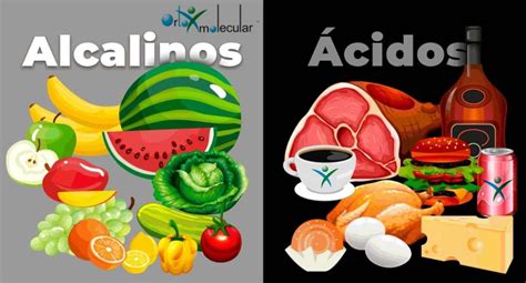 Alcalosis Medicina Y Nutricion Ortomolecular