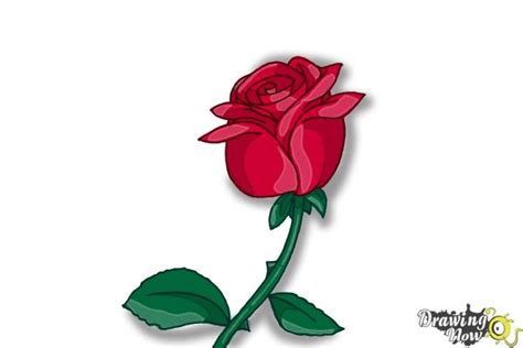 Now you can draw out the left side of the rose in a very simple half circle. How to Draw a Rose Step by Step For Kids - DrawingNow