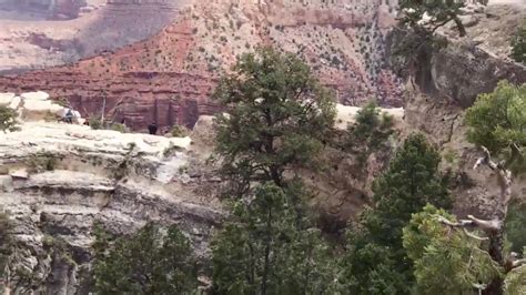 Woman Fell To Her Death At Grand Canyon