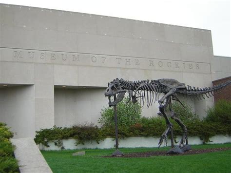 455 likes · 31 talking about this · 126 were here. Museum of the Rockies | Valley of flowers, Trip advisor ...