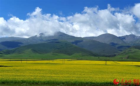 Beautiful Qinghai Lake Cn