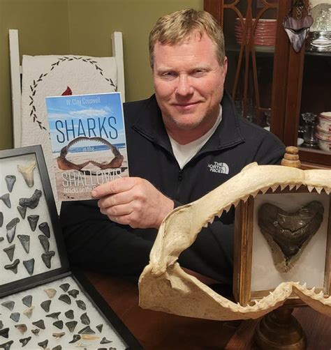 Sharks In The Shallows Shelby Native Writes Book On Shark Attacks