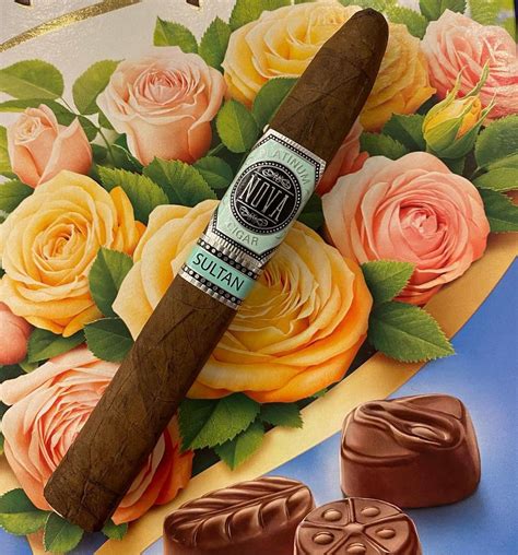 Platinum Nova Cigars Photo Gallery Delray Beach Fl