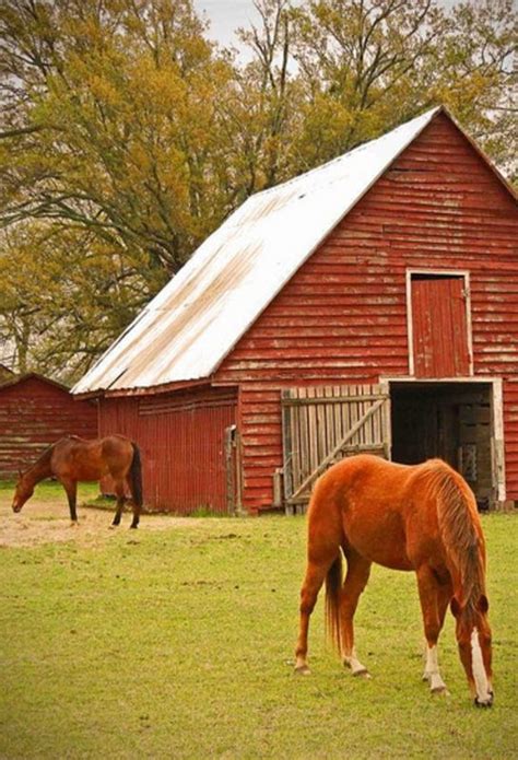 Barn With Horses Grazing Barns Pinterest Red Barns Red And Horses