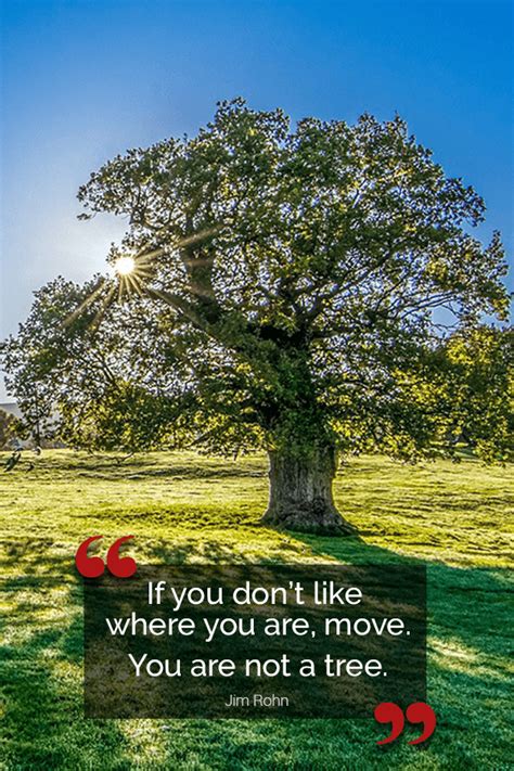 After collecting countless quotes and sayings about trees and gardening, we're sharing some of our favorites. Inspirational quote: If you don't like where you are, move. You are not a tree. - Jim Rohn