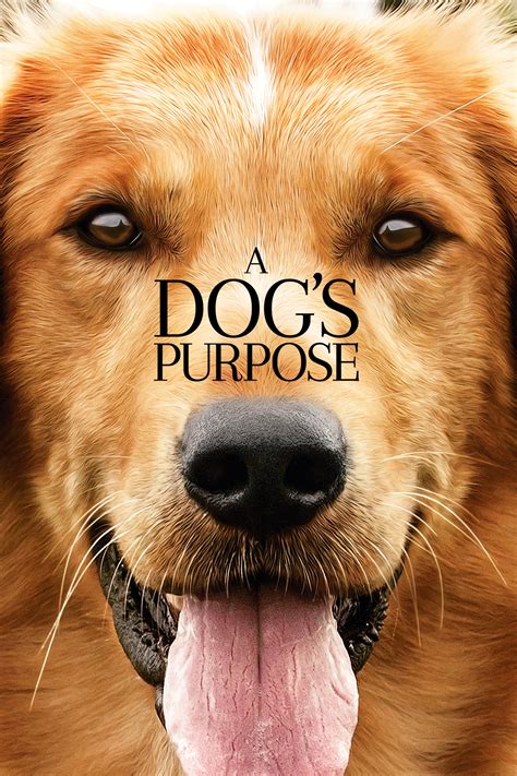 A Dogs Purpose 2017 The Poster Database Tpdb
