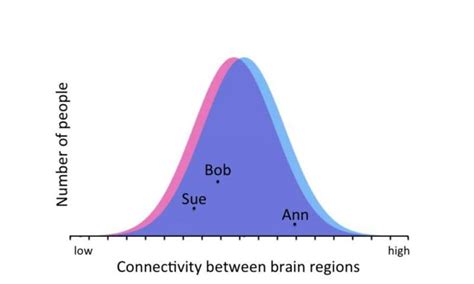 A Beginners Guide To Sex Differences In The Brain