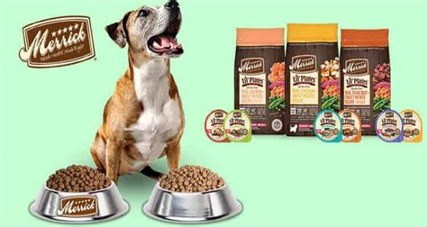 Merrick cat food review summary. Merrick Dog Food Review 2020: Best High-quality Food?